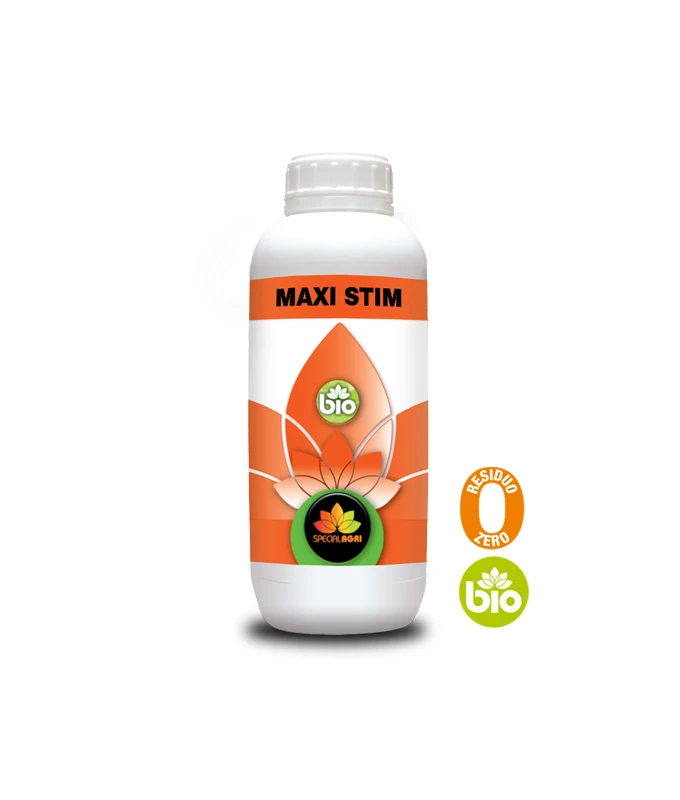 MAXI STIM